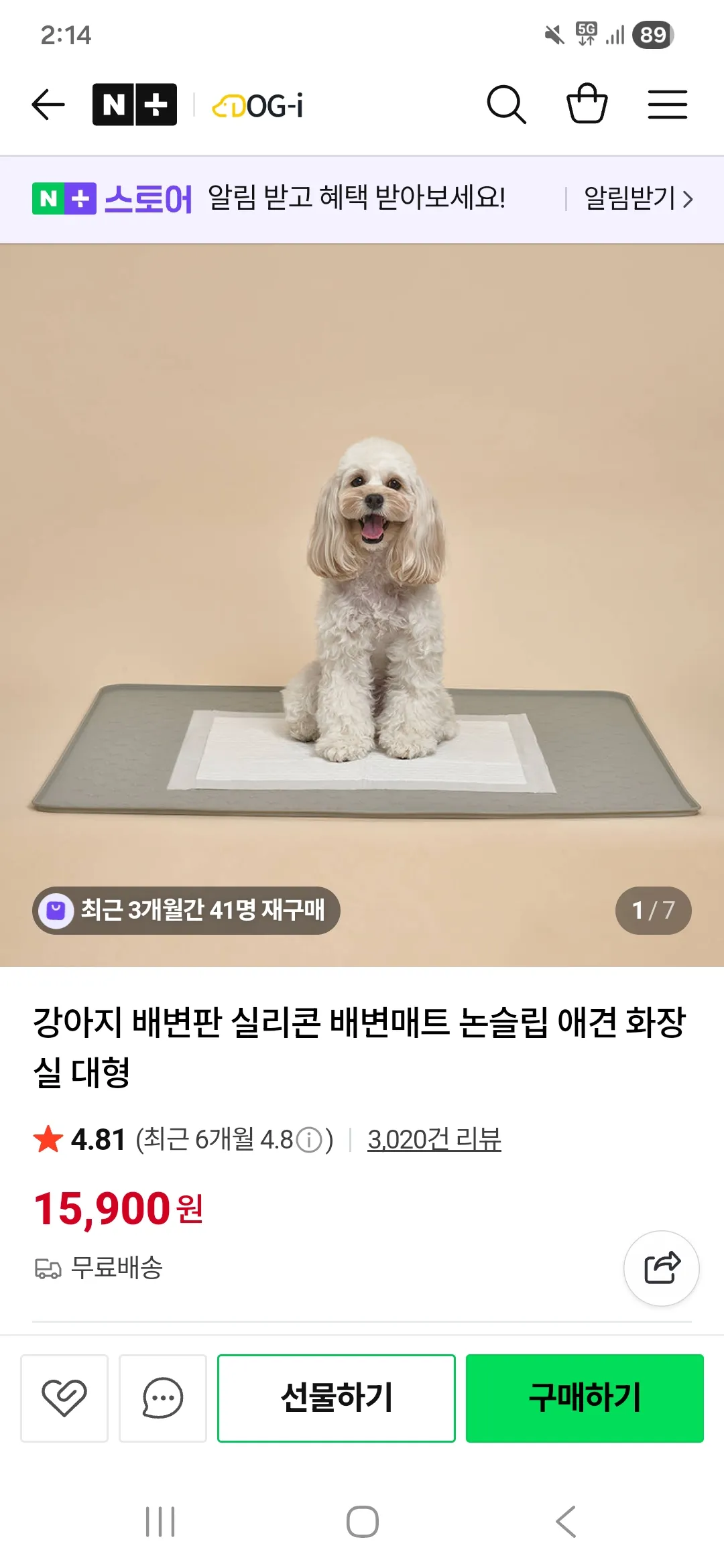 강아지나 동물키우는언니들만 들어와주세요 댓글