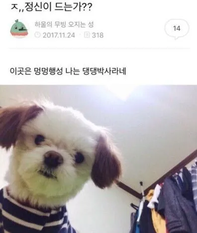 강남/텐카페/베이직/하이퍼블릭/달리는토끼ㄷㅌ달토/건호