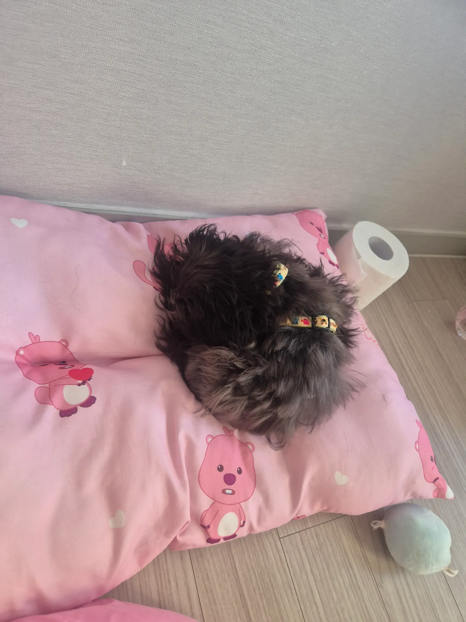 엄마3일동안칩거하고63되고디타빨로풀출한다