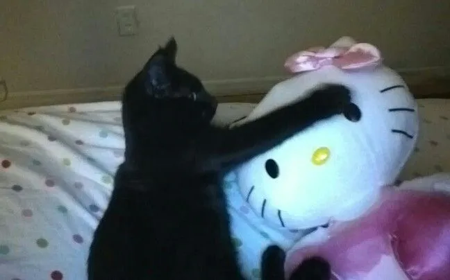 힝6