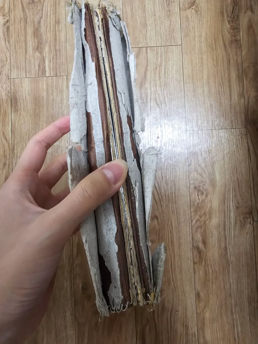미친건가2
