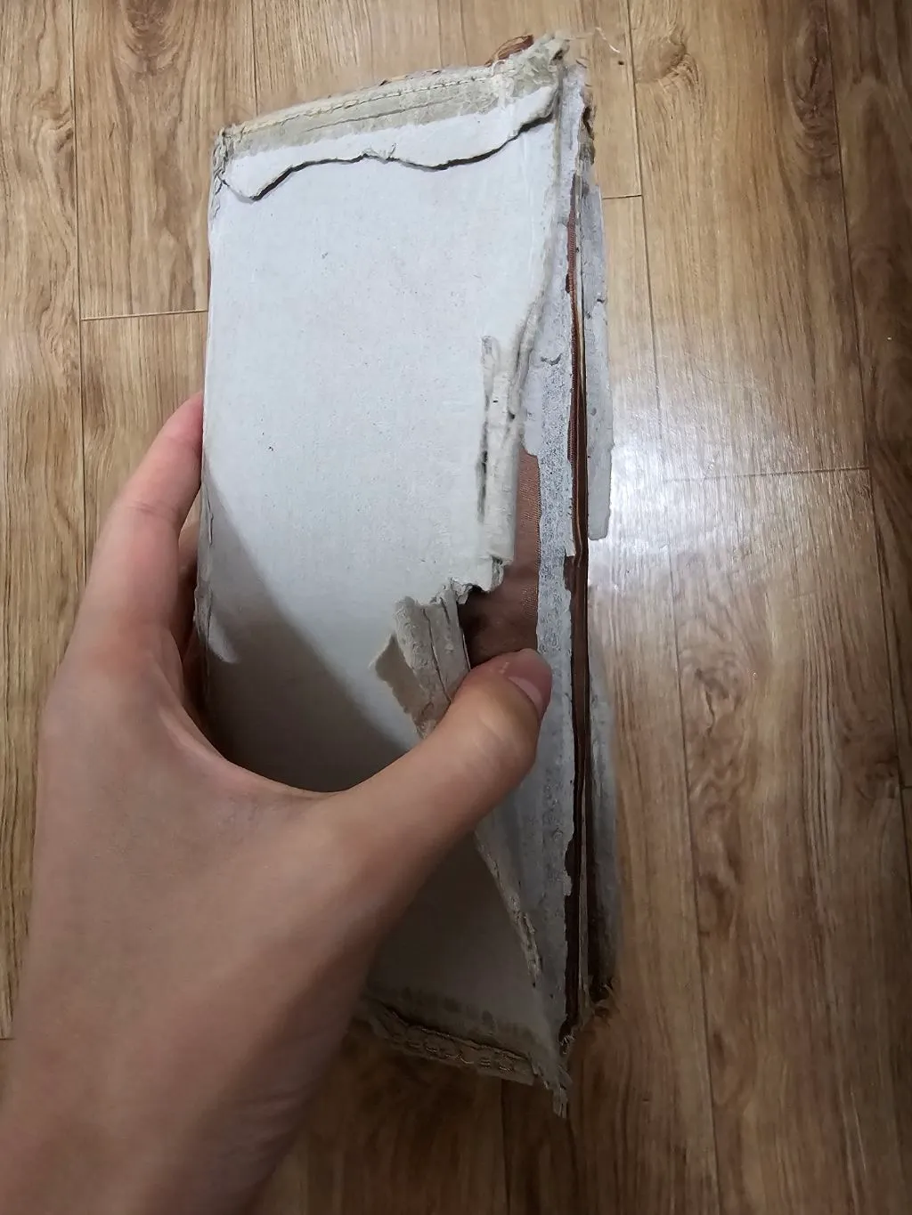 미친건가3