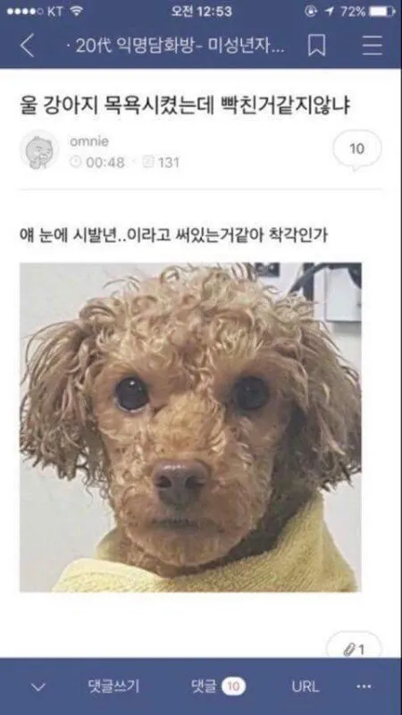원래 디타먹으면 1시간30분자고깨고이럼? 댓글