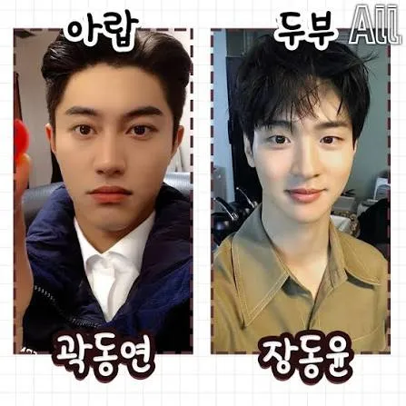 아랍vs두부 남 골라