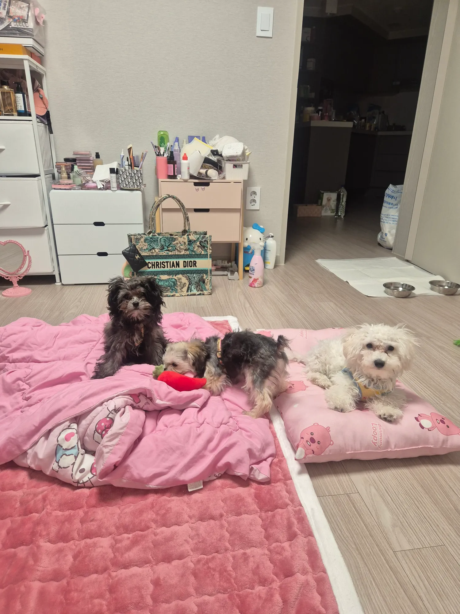 아 일하러갈랫는데 잠와서 내일아침부터해야겟다
