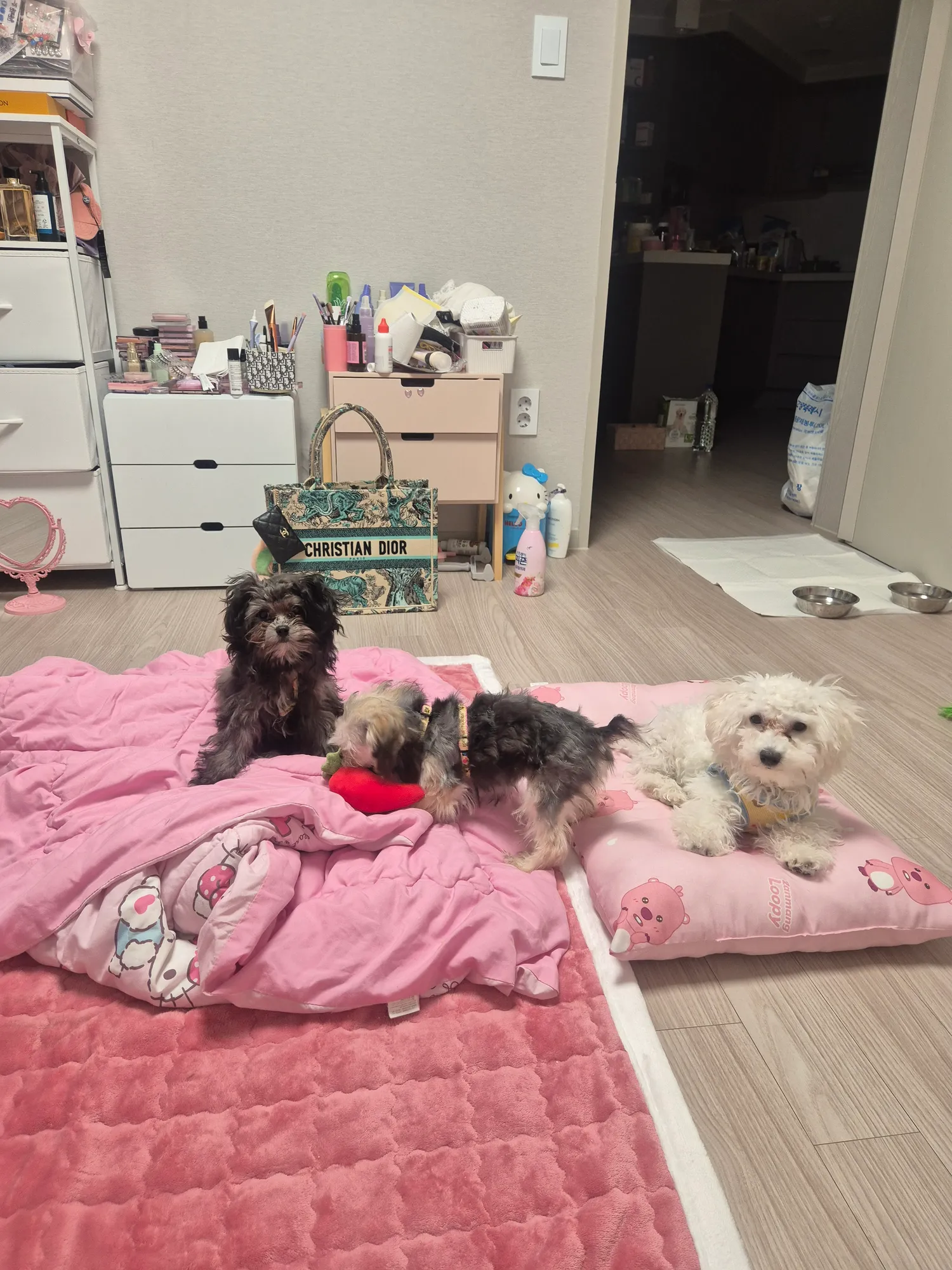 아 일하러갈랫는데 잠와서 내일아침부터해야겟다2