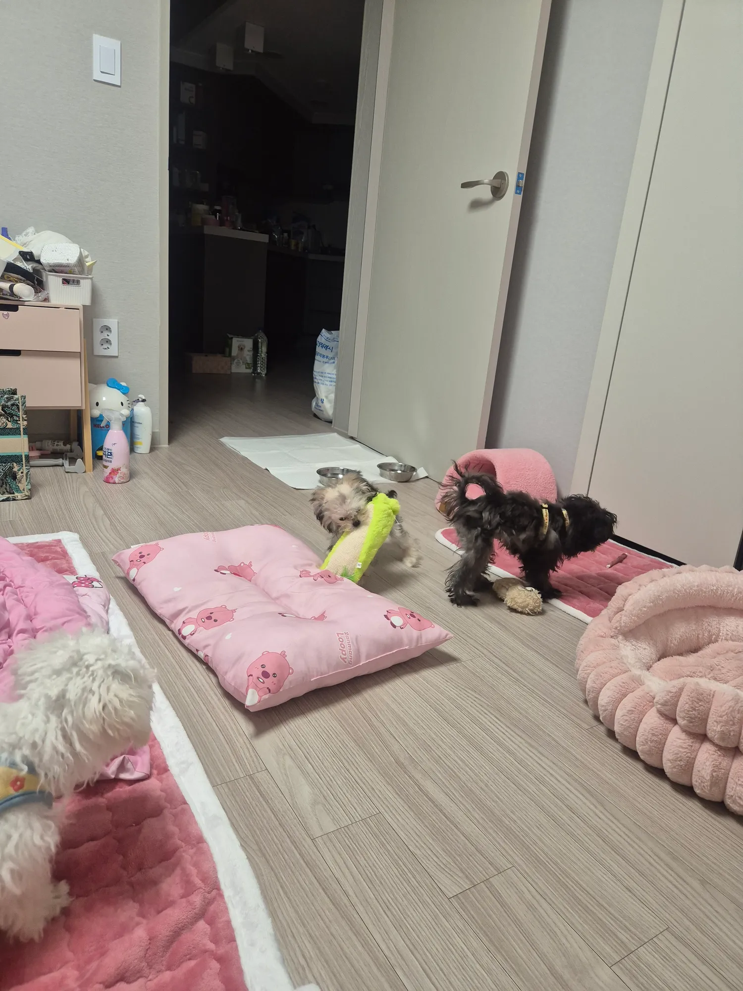 아 일하러갈랫는데 잠와서 내일아침부터해야겟다 댓글