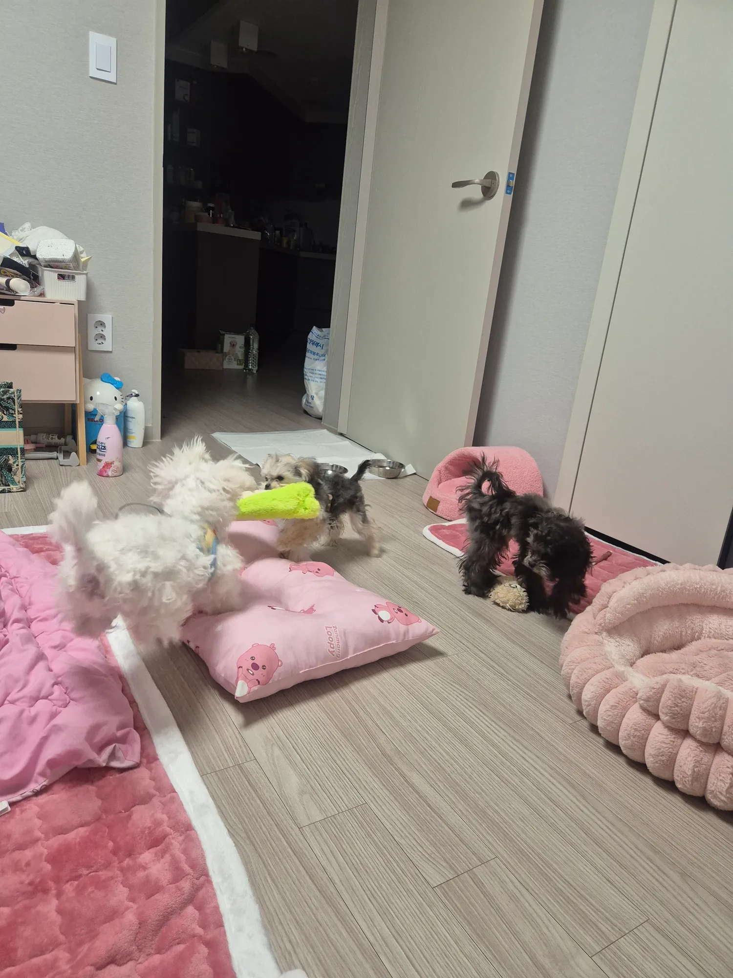 아 일하러갈랫는데 잠와서 내일아침부터해야겟다 댓글 2