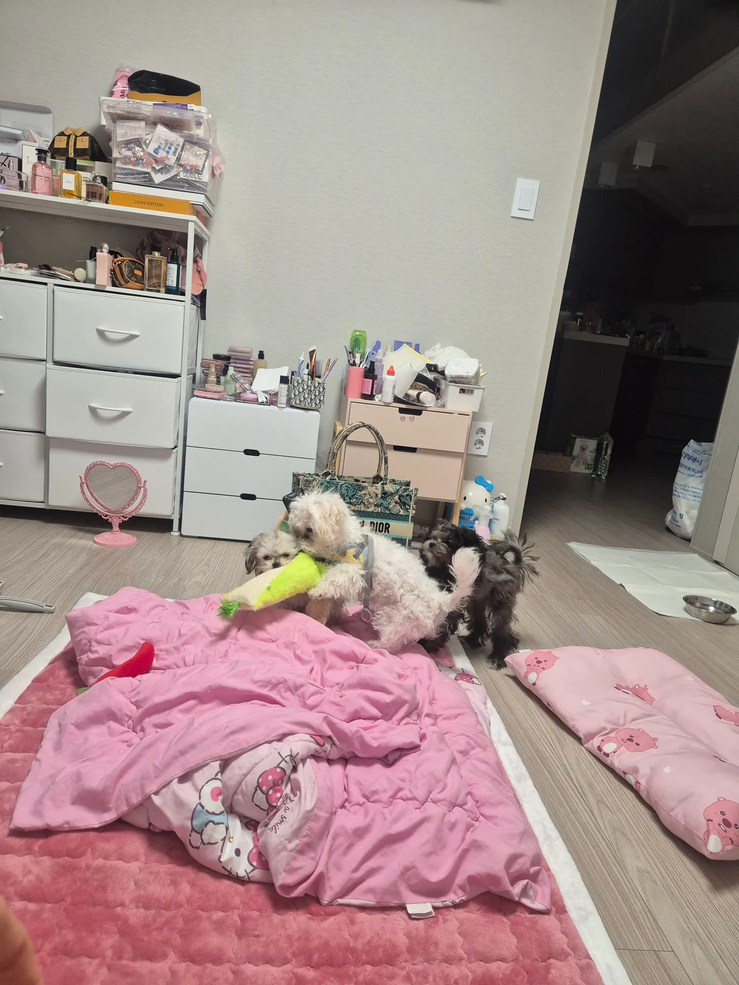 아 일하러갈랫는데 잠와서 내일아침부터해야겟다 댓글 3