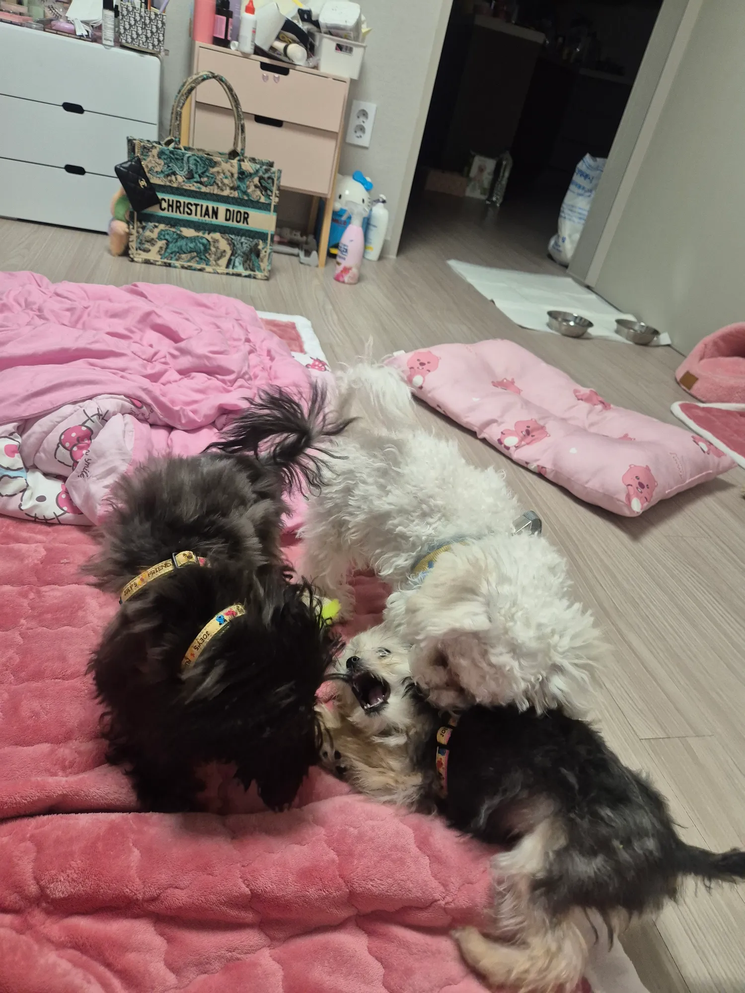 아 동금이년 성격 못되서 존나웃기네 ㅋㅋ