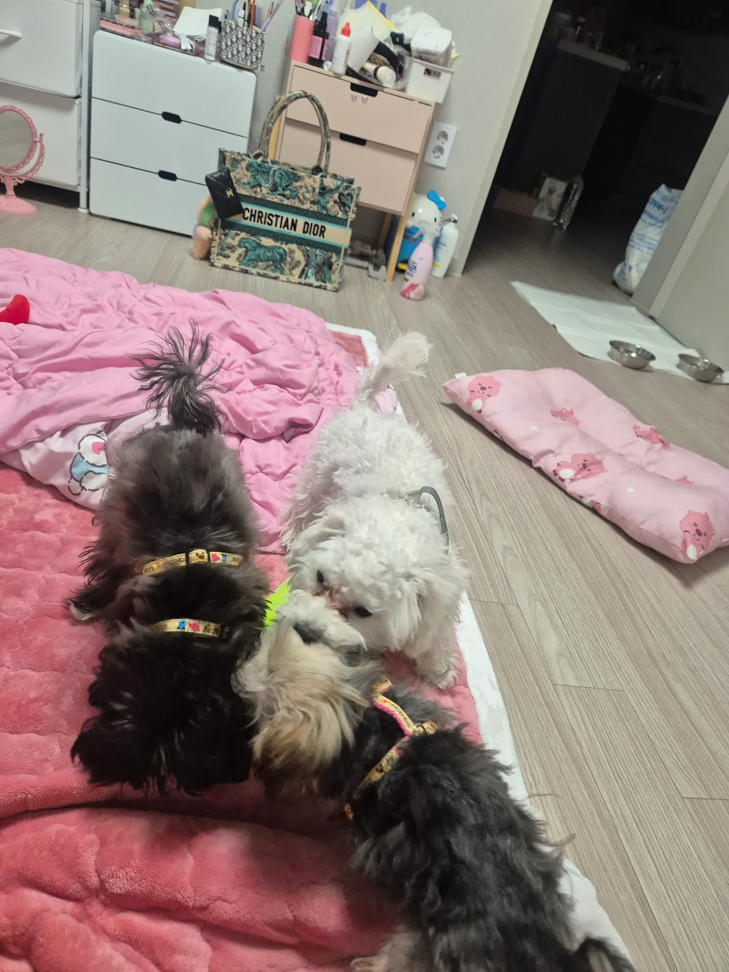 아 동금이년 성격 못되서 존나웃기네 ㅋㅋ3