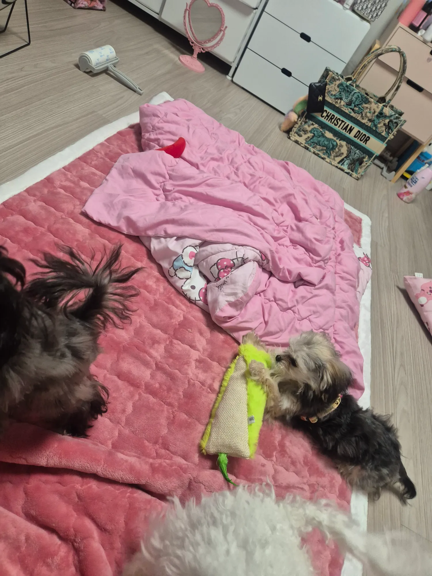 아 동금이년 성격 못되서 존나웃기네 ㅋㅋ4
