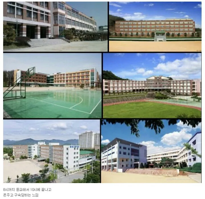 고등학교 행복했다vs싫었다