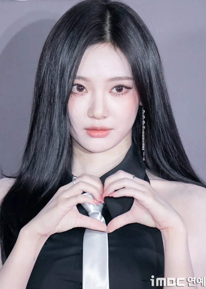 닮았다 들은 연예인3