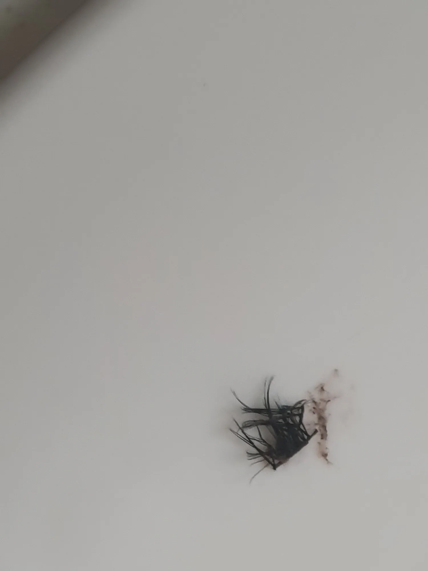 자다깨서 기절할뻔
