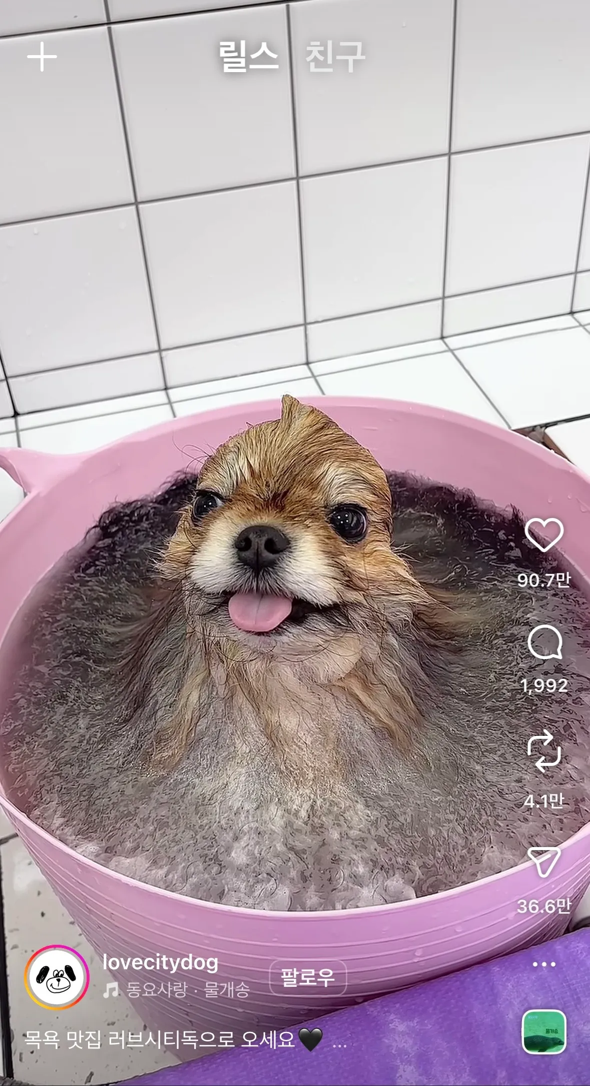 동금이닮았당2