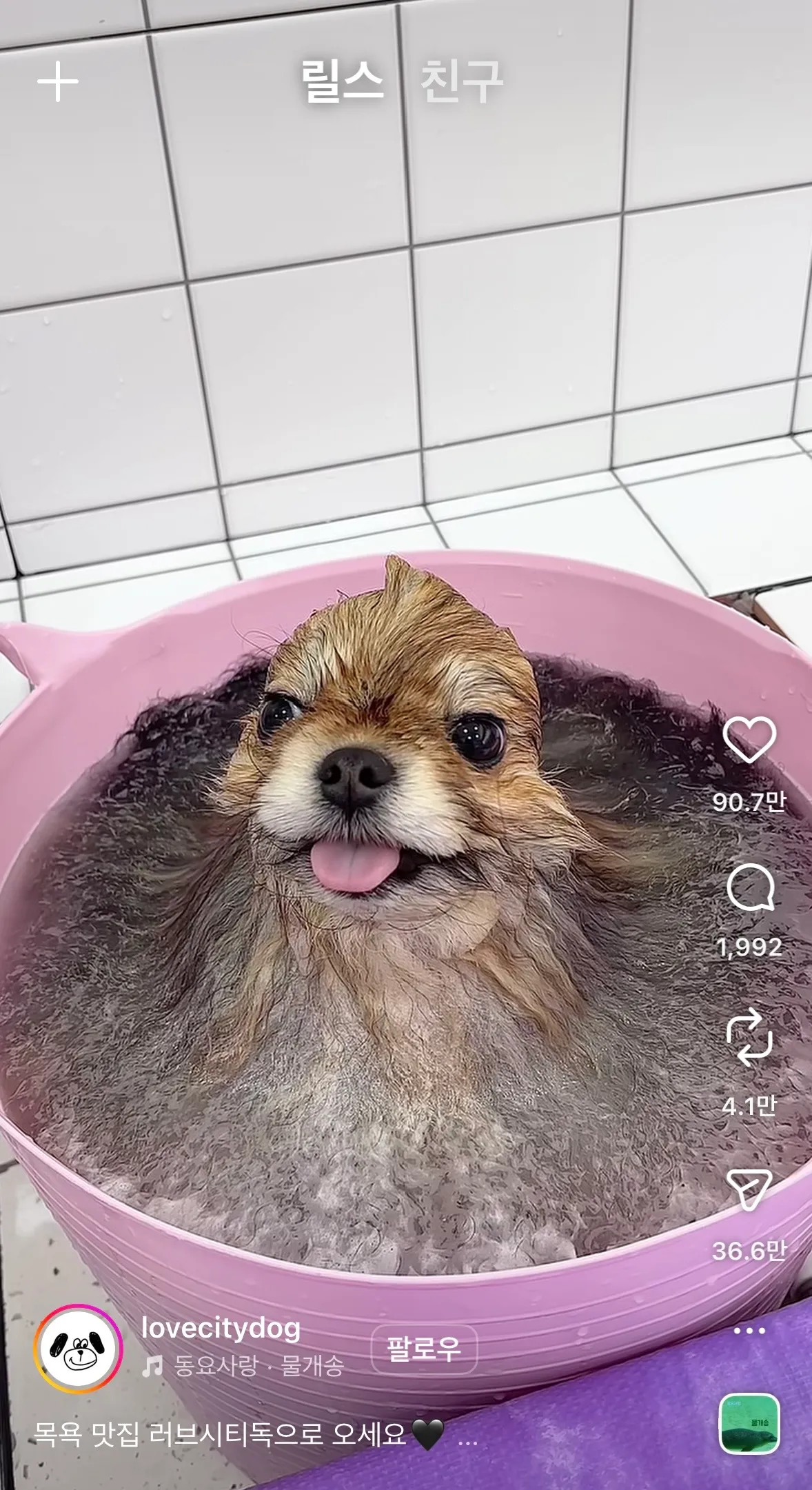 동금이닮았당5