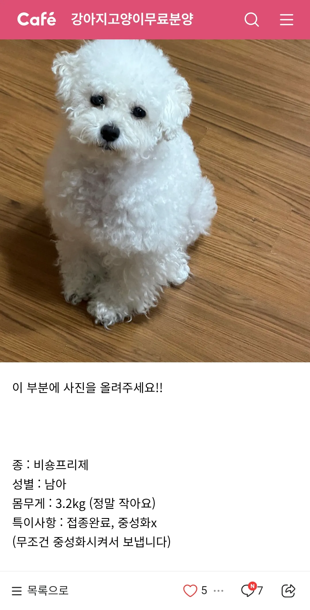이렇게 귀여운 강아지를 버리냐...넘이쁜데