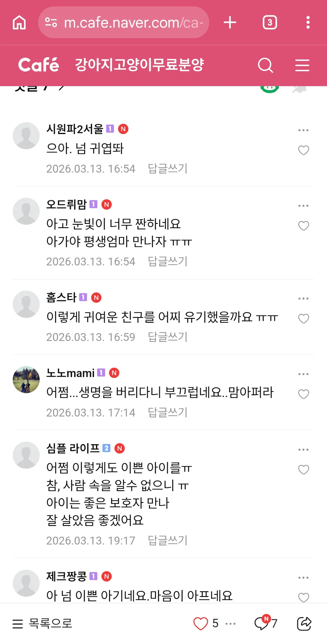 이렇게 귀여운 강아지를 버리냐...넘이쁜데3