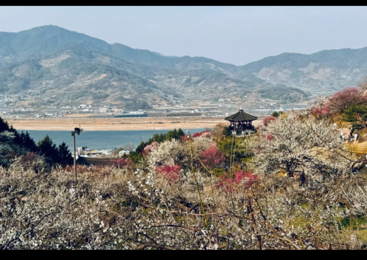 ㄱㅇ 가게너무 낭만있네요3