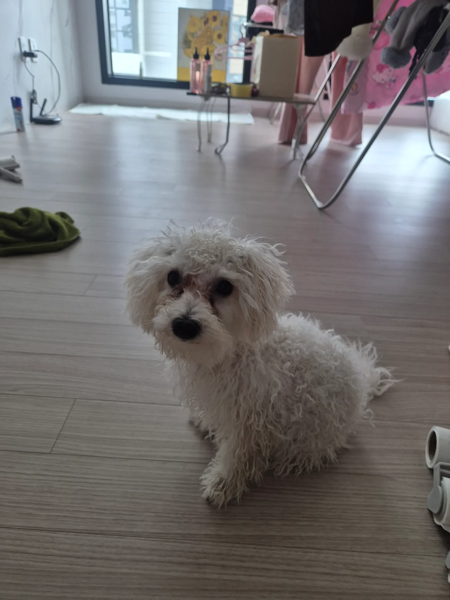 흰동이샤워