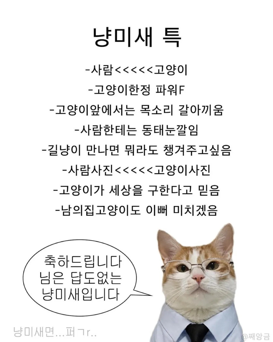 냥미새 특이래서 봤는데