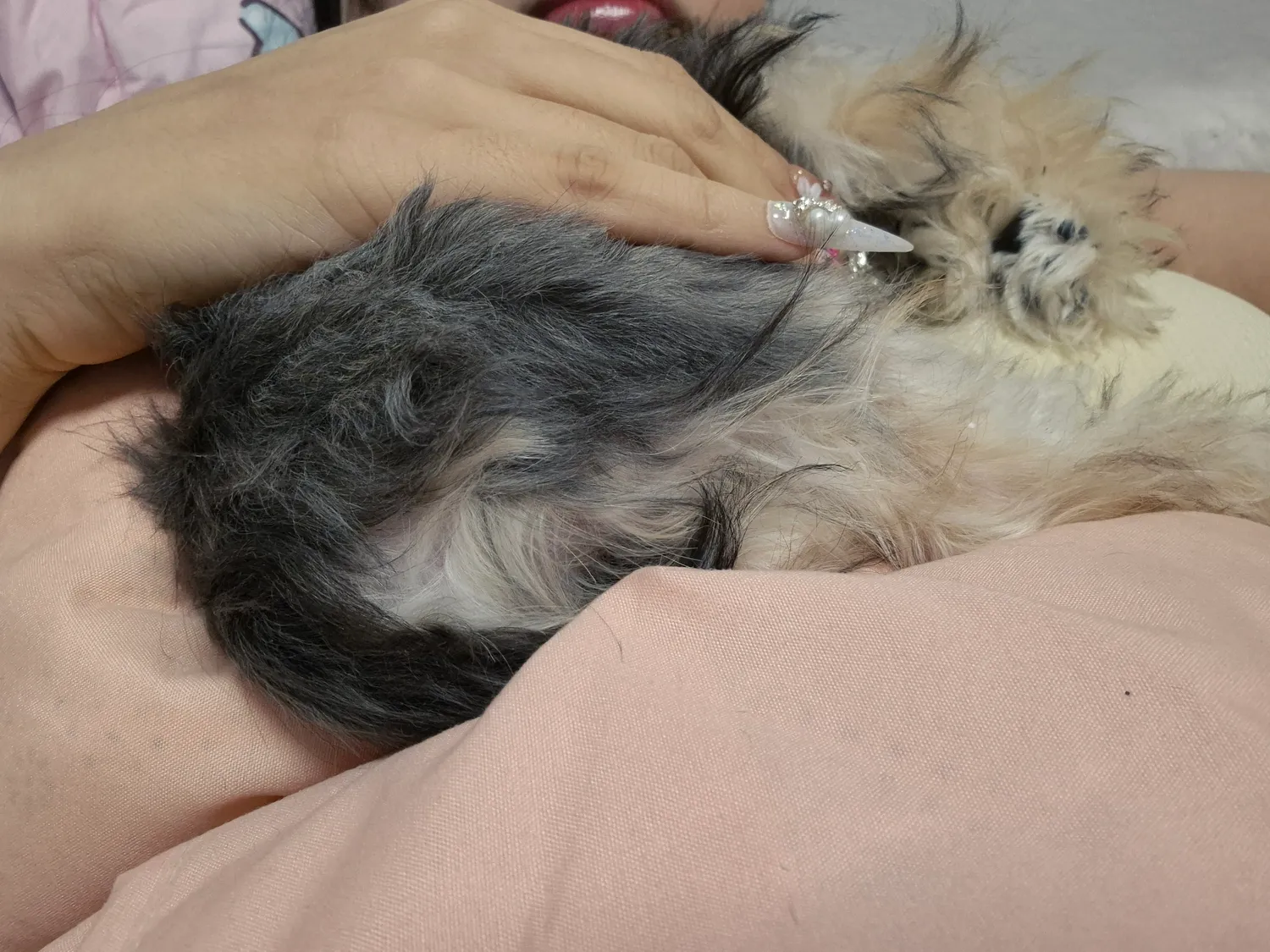 우리 동금이 품이 너무 따듯해서 눈물나온다 댓글