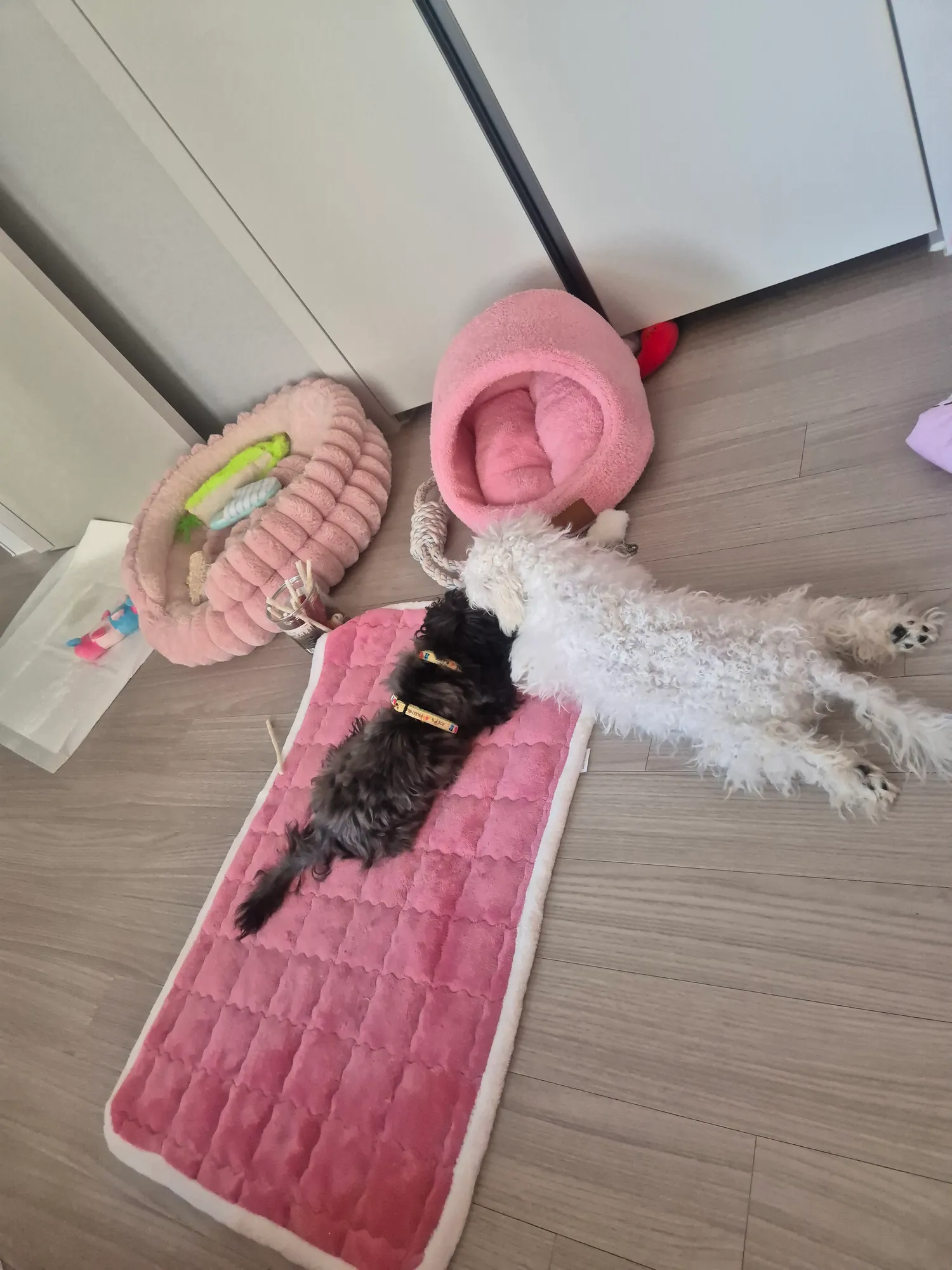 우리딸 엄마를 사랑하는구나 댓글 2