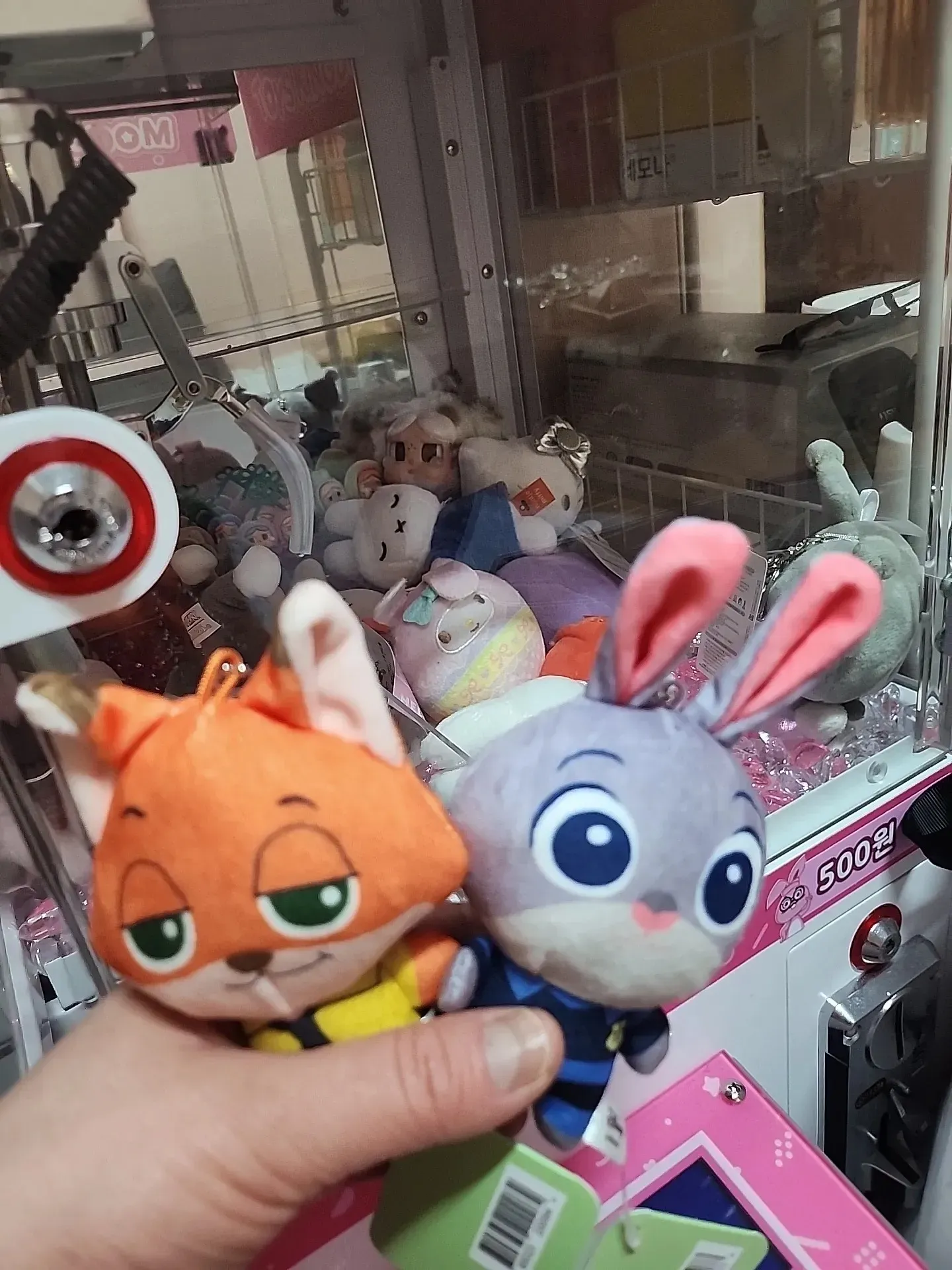 광양 노괴 아가씨 존나나댐 댓글