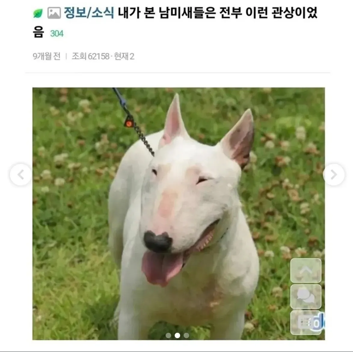 남미새관상