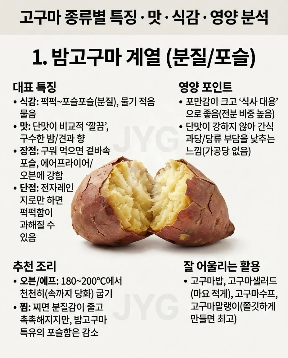 고구마의 모든것
