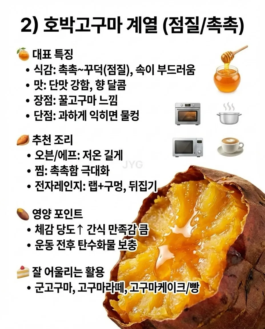 고구마의 모든것2