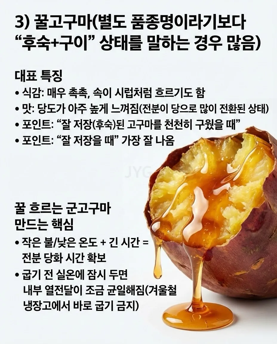 고구마의 모든것3