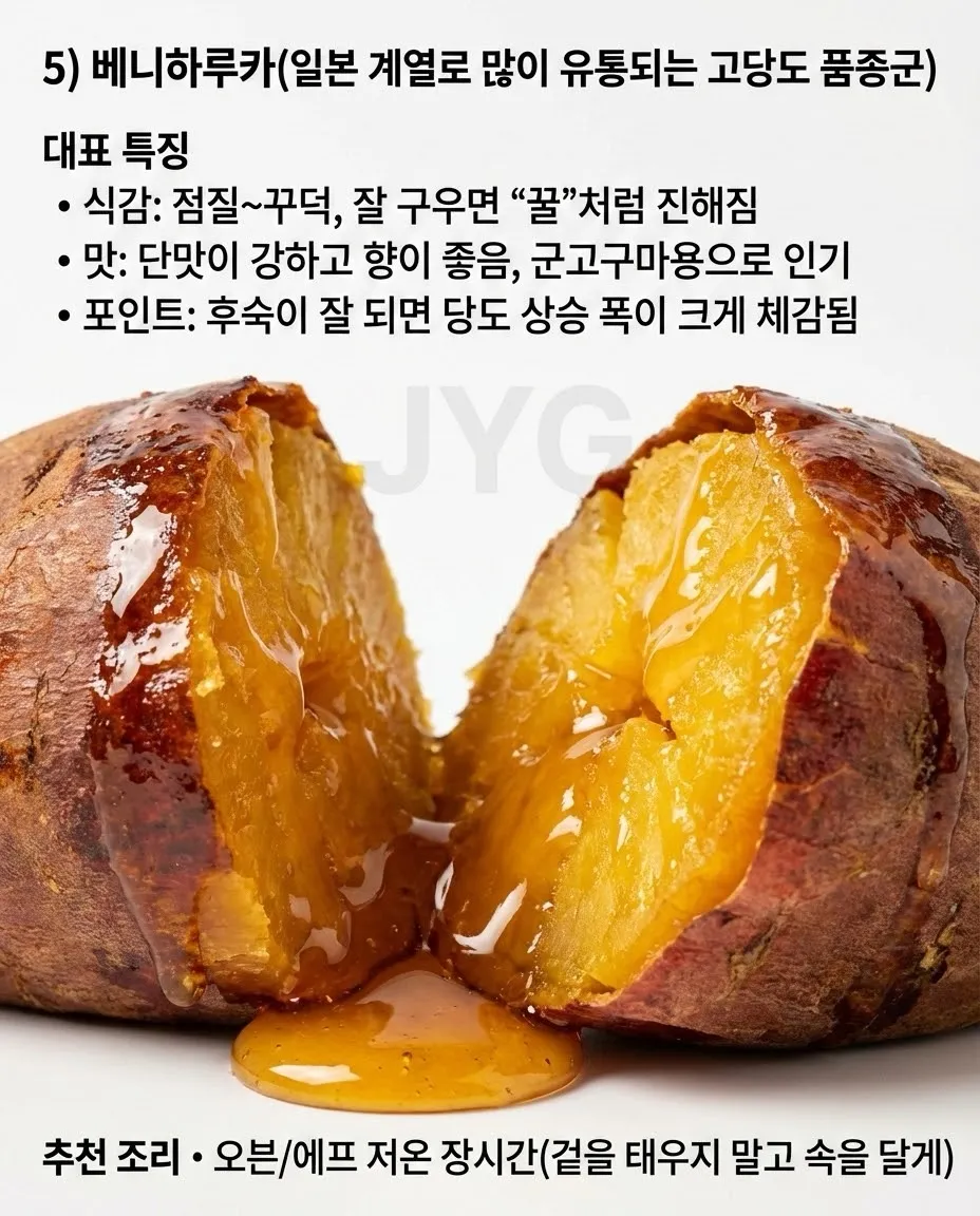 고구마의 모든것4