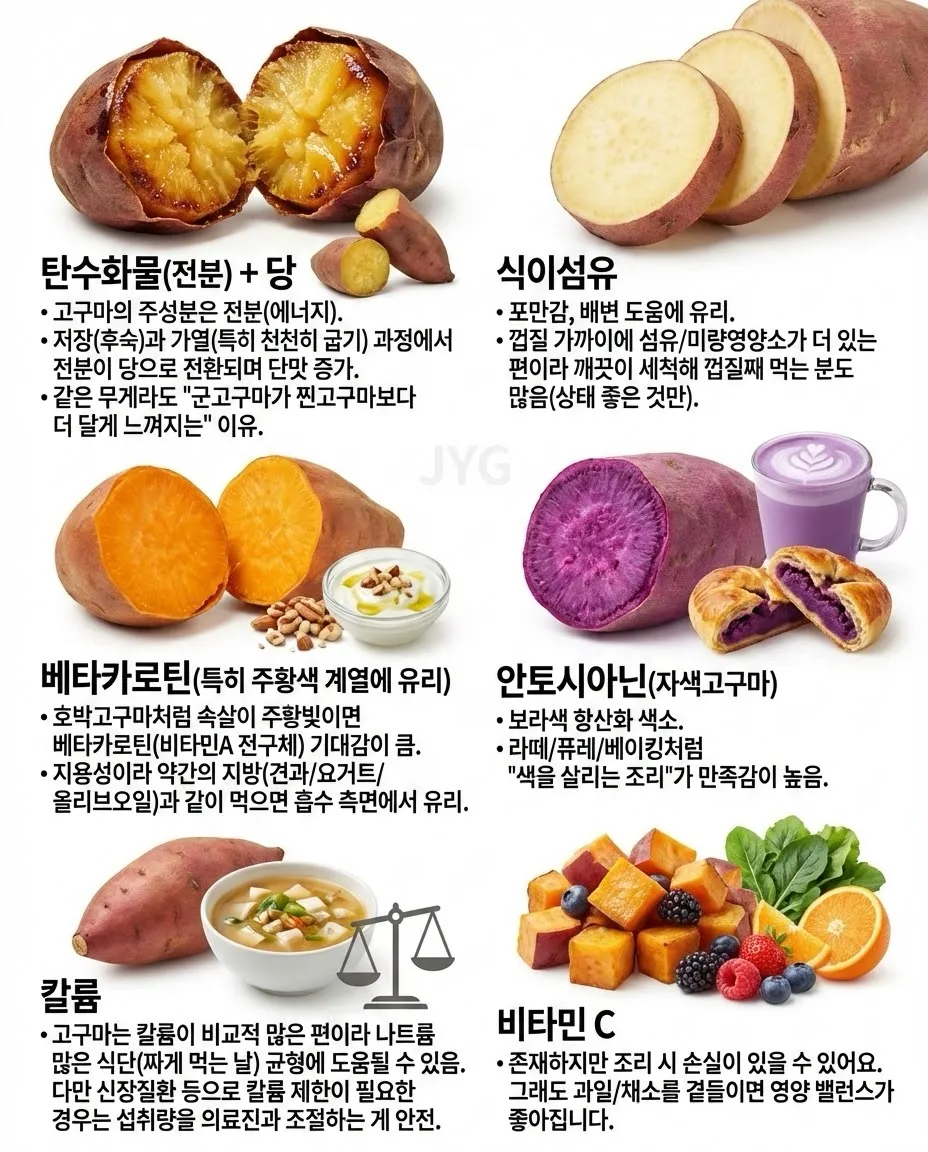 고구마의 모든것6