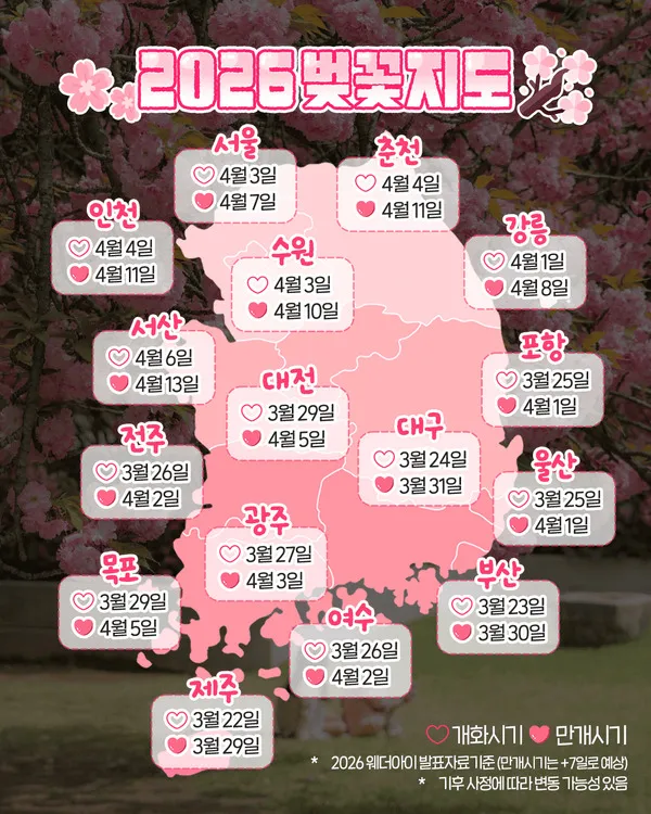 2026년 벚꽃지도