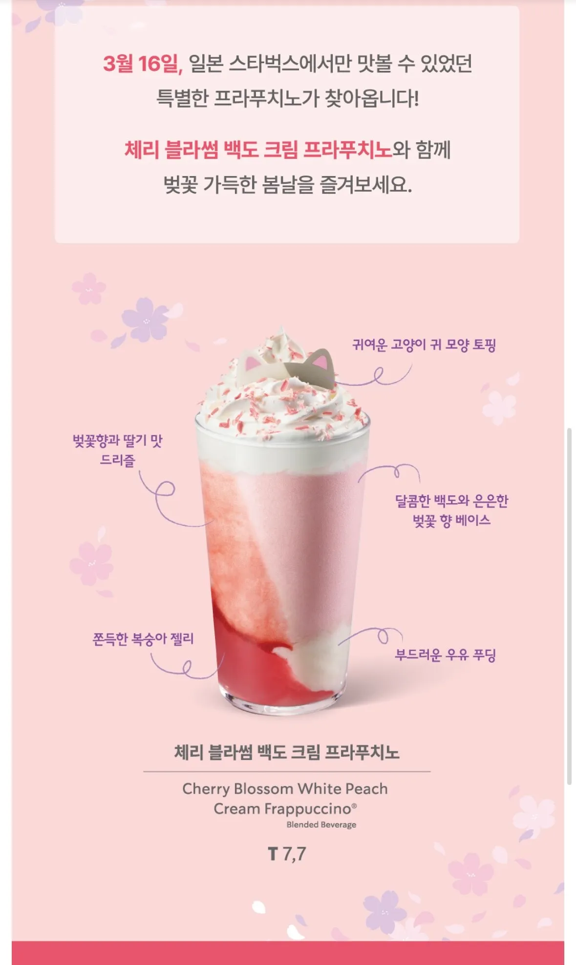 음식도 예쁜음식이 조아