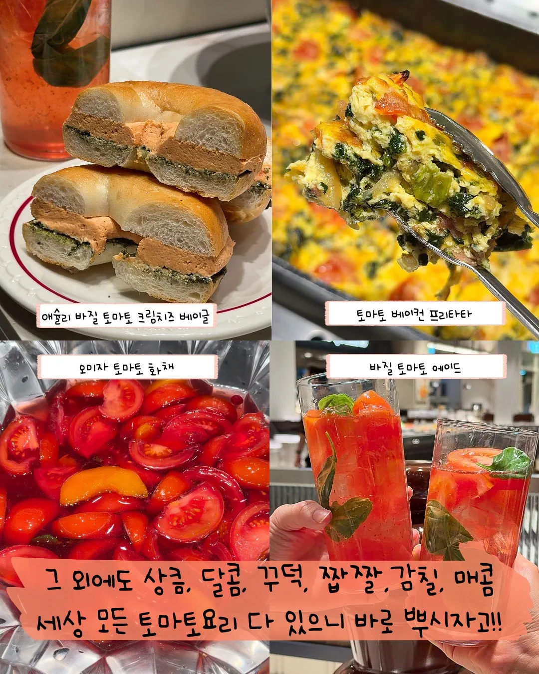 애슐리 퀸즈 시즌바뀌네요8