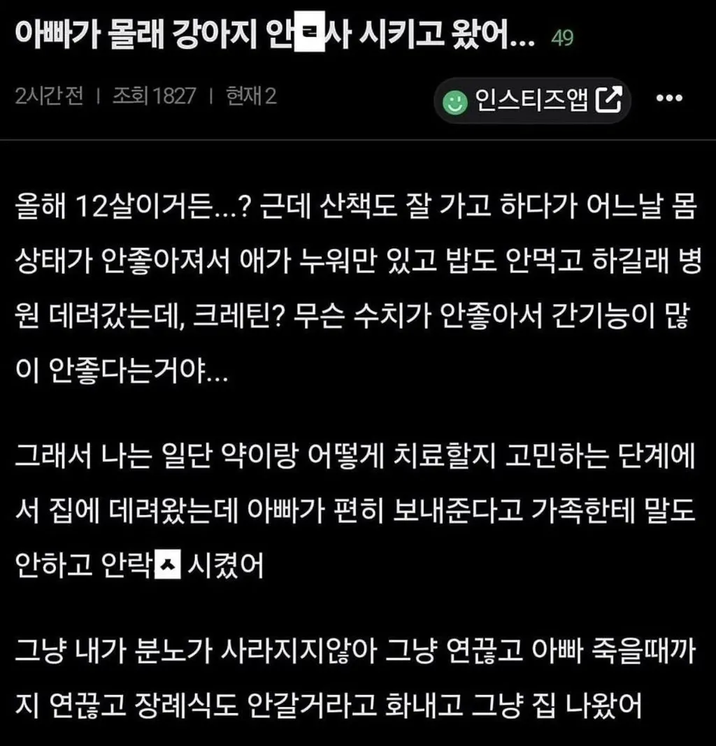 강아지 몰래 안락사시킨 개비...