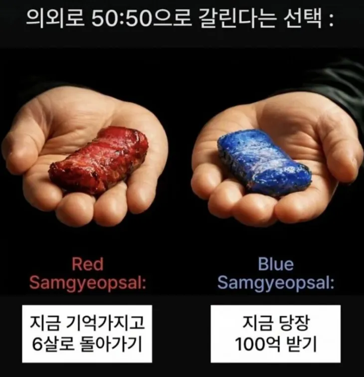 언니들은 둘중에서 어떤거 고르고싶으세요??