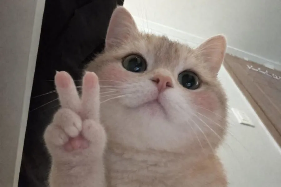 이게 욕머글일인가여ㅜㅜㅜ2