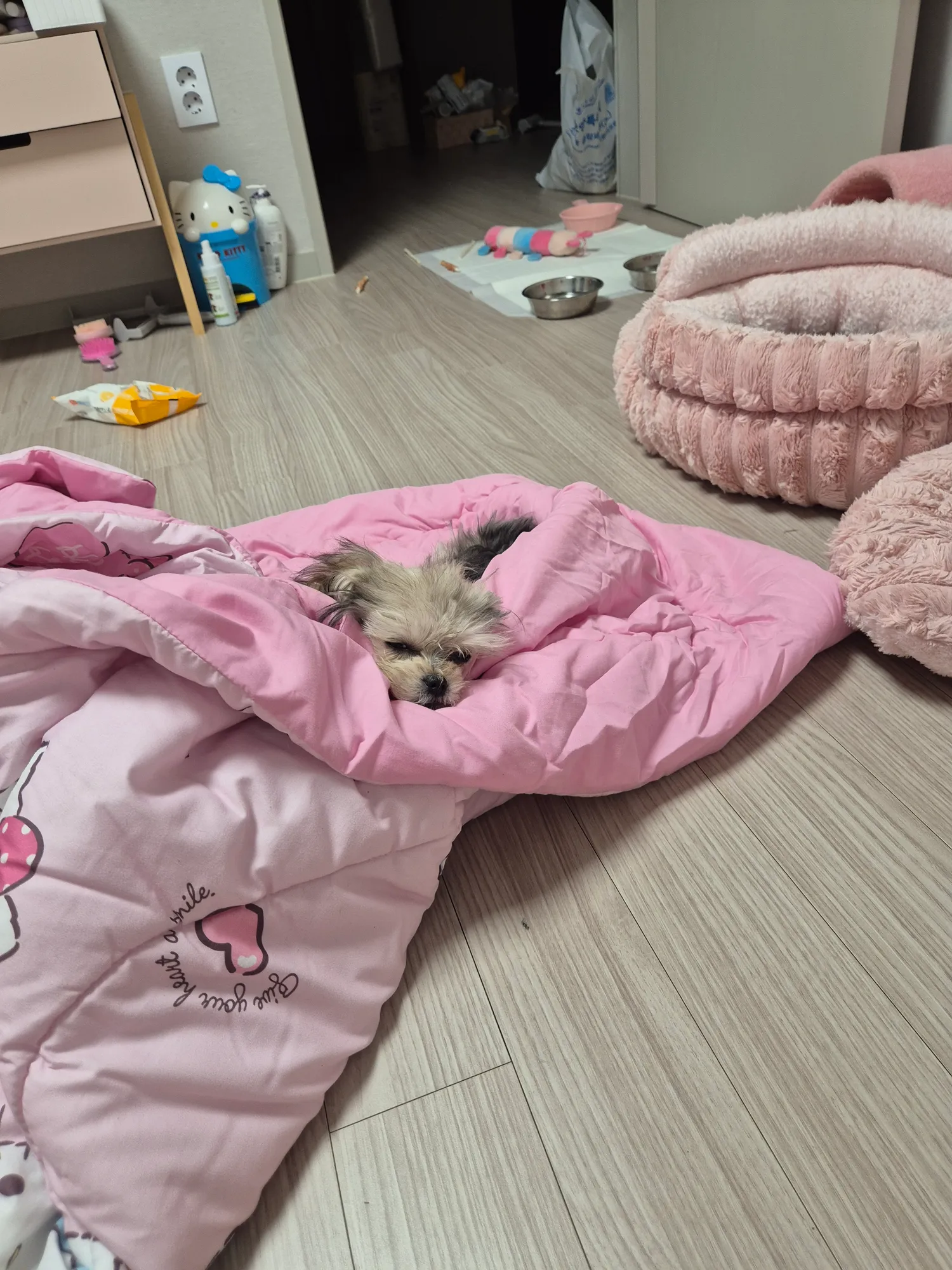 엄마가 사랑해 댓글 2