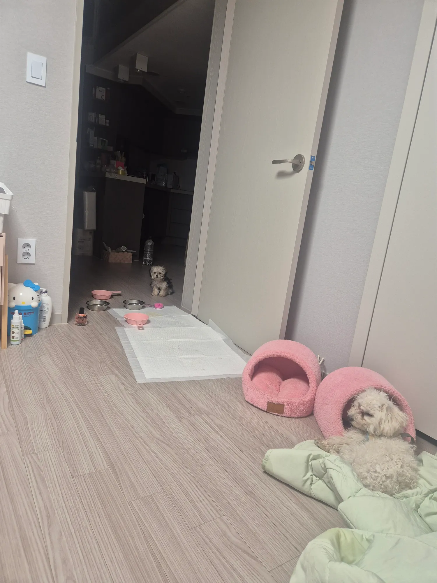 엄마가 사랑해 댓글 7