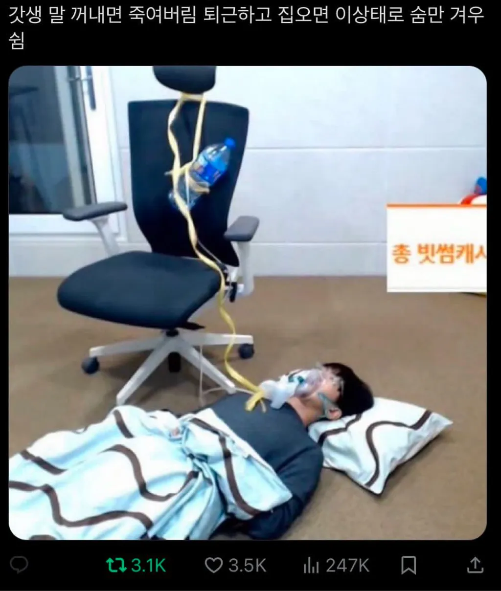 아 이짤 너무 웃기네요