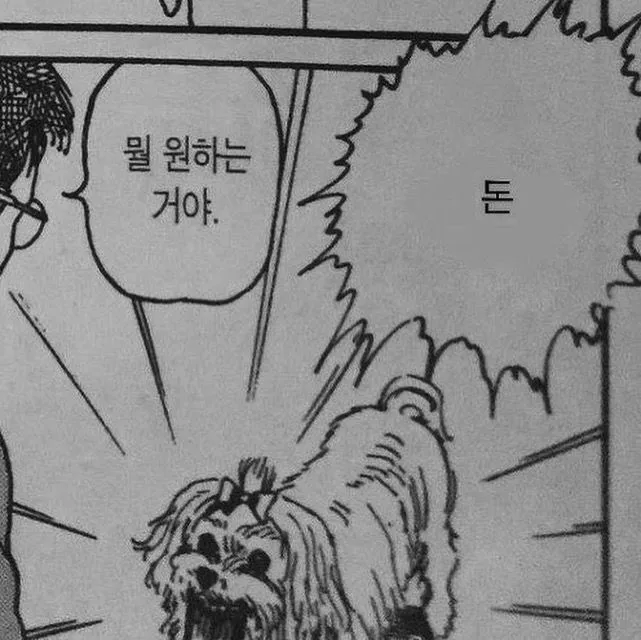 로진 차단 짤좀 댓글