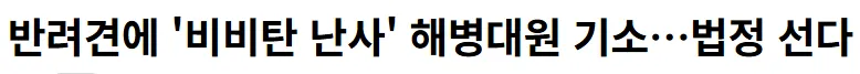 반려견에 비비탄 난사 해병대원...