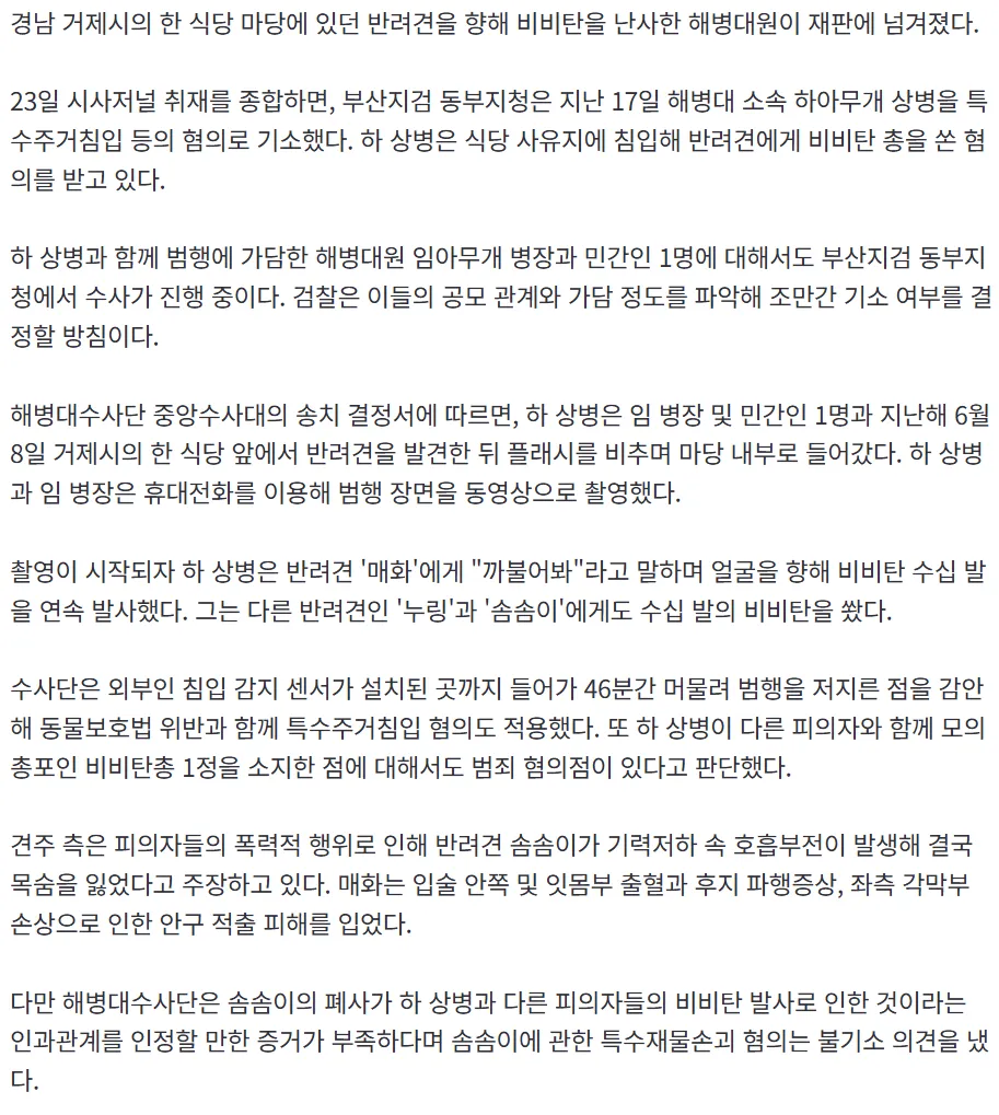 반려견에 비비탄 난사 해병대원...3