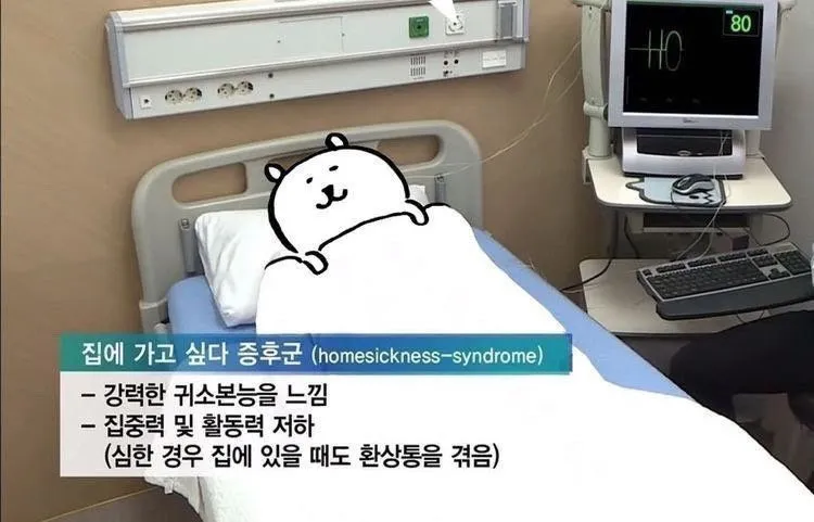 집에 가구 싶다