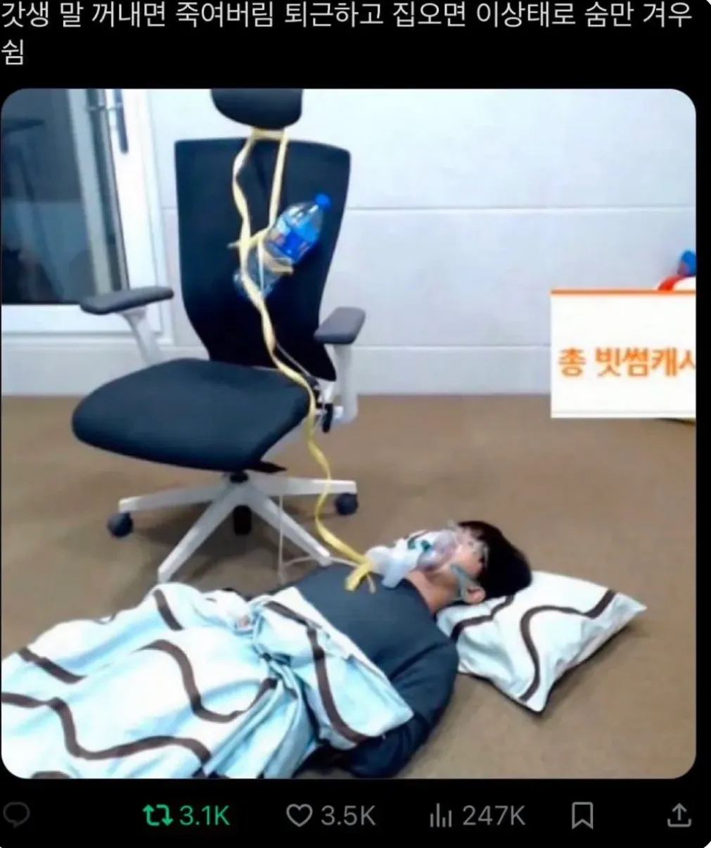 집에 가구 싶다 댓글 2
