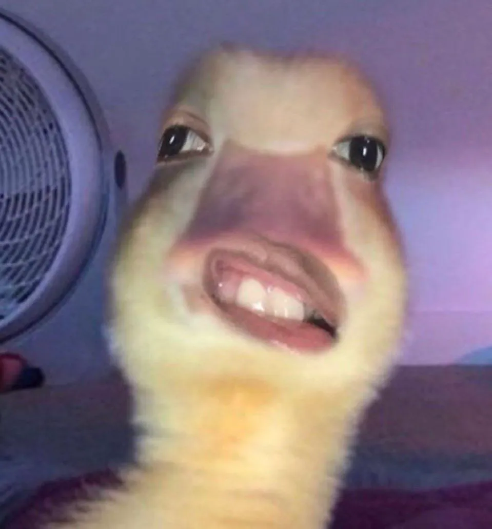 레즈는 괜찮은데 게이트젠은 극혐임